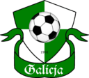 Galicja Raciborowice logo